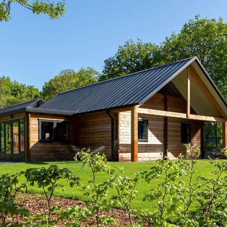 Cosy Wooden House Amid Woods In Soesterberg Утрехт Экстерьер фото