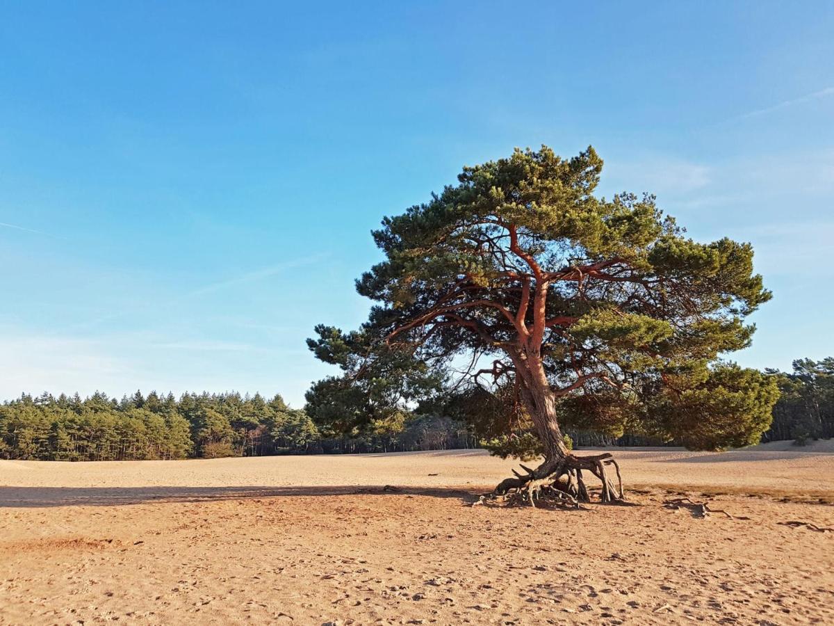 Cosy Wooden House Amid Woods In Soesterberg Утрехт Экстерьер фото